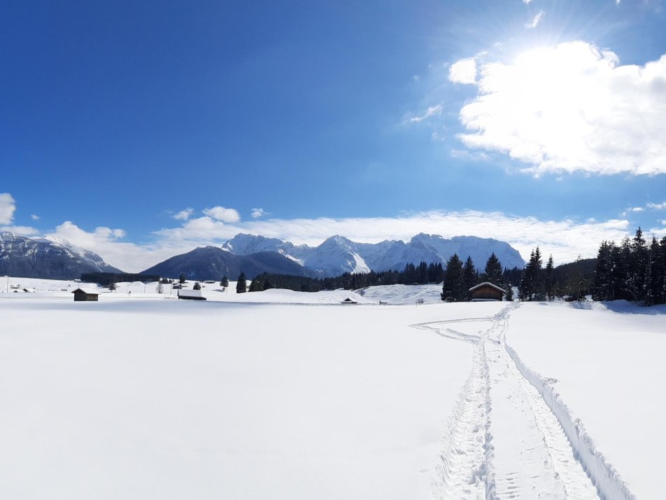 20210323_111636 - Kopie (2)