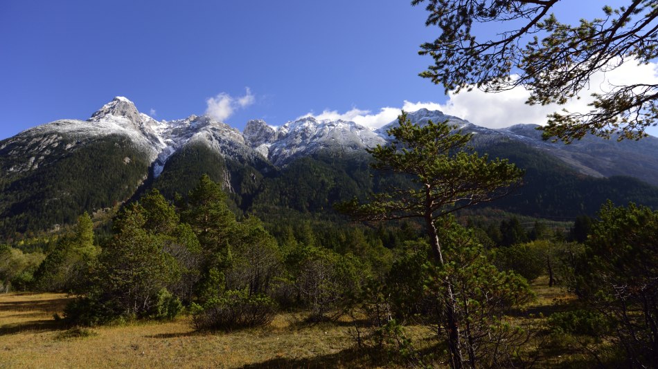 Mittenwald Riedboden, © Alpenwelt Karwendel | Stefan Eisend