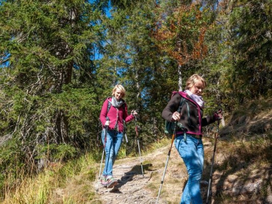 Begleitete Wanderung  über Buckelwiesen, Römerweg nach Klais, © Alpenwelt Karwendel | Gregor Lengler
