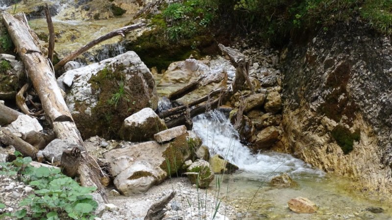 Alles was sich Kinder wünschen - der Gassellahnbach verläuft entlang des Weges, © Alpenwelt Karwendel | Andrea Schmölzer