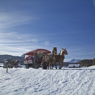 By horse-drawn sleigh across the Buckelwiesen from Mittenwald to Krün, © Alpenwelt Karwendel | Hubert Hornsteiner