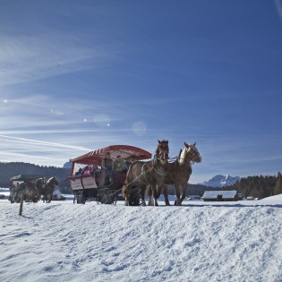 Mit dem Pferdeschlitten über die Buckelwiesen von Mittenwald nach Krün, © Alpenwelt Karwendel | Hubert Hornsteiner