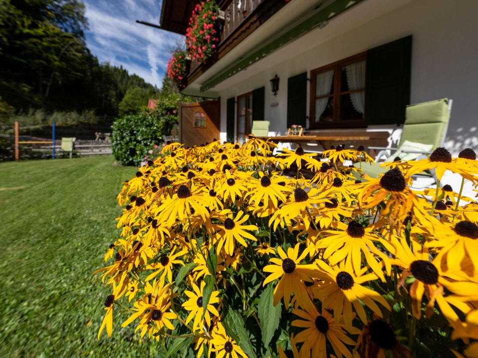 Hausbilder Alpenglanz (6)