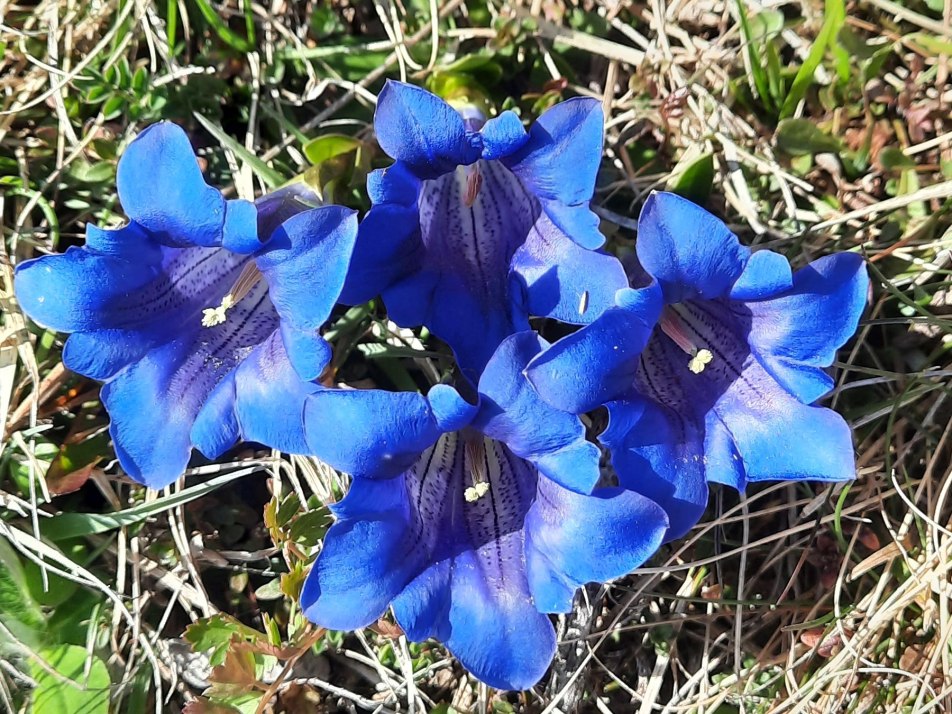 20210424_163249 20210424_163249