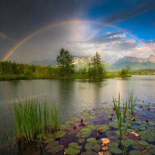 Ein farbenfrohes Naturspektakel eingefangen am Barmseeufer mit Blick auf Soiern- und Karwendelmassiv., © Alpenwelt Karwendel | Maximilian Ziegler