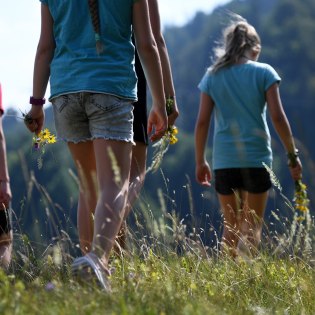 Naturerlebnisse für alle! Blühende wiesen und fantastische Panoramen rund um Mittenwald, Krün und Wallgau, © Alpenwelt Karwendel | Angelika Warmuth