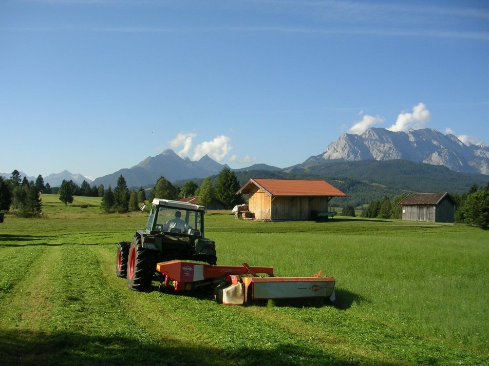 Sommerarbeiten, © Susanne Kramer