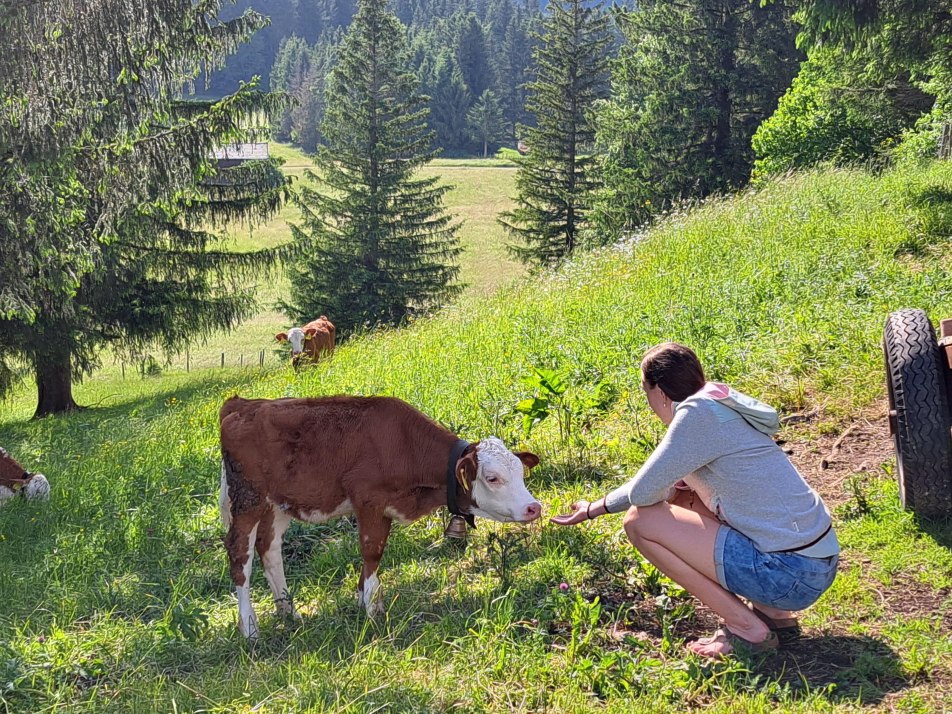 Landleben