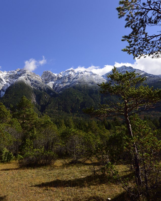 Mittenwald Riedboden, © Alpenwelt Karwendel | Stefan Eisend