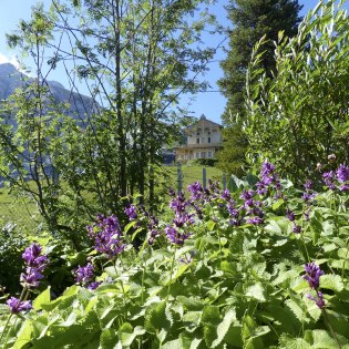 Die Ansicht des Königshaus am Schachen aus dem Butanischen Garten , © Alpenwelt Karwendel | Sandra Hibler