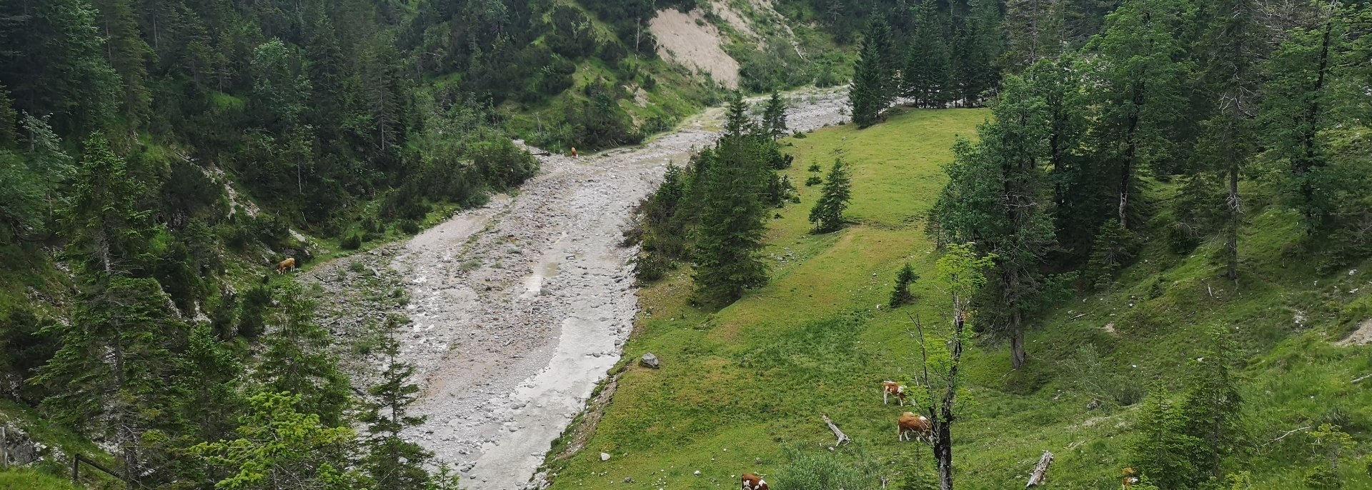 Blick von der Finzalm auf die Finz nahe Krün und Wallgau, © Alpenwelt Karwendel | Andreas Karner