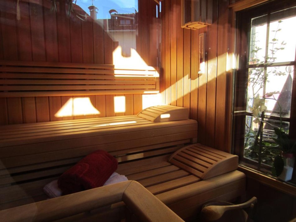 Saunas for two. Is there a more pleasant way to sweat ?