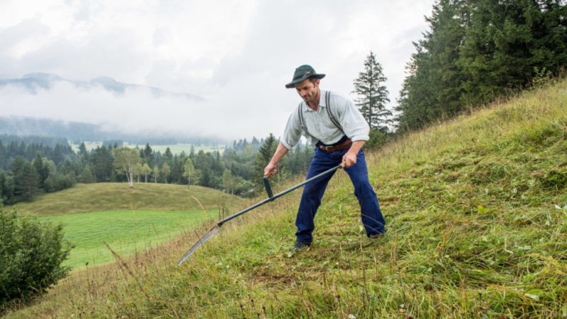 Alois Kramer bei der Wiesmahd in den Buckelwiesen, © Molkerei Berchtesgadener Land