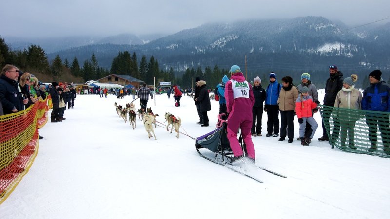 Sibirisches Feeling in Wallgau direkt an der Rennstrecke, © dieStreunerin