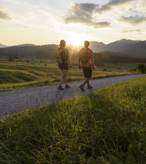 Sunset at the hummock meadows between Mittenwald, Krün and Wallgau., © Alpenwelt Karwendel | Wolfgang Ehn