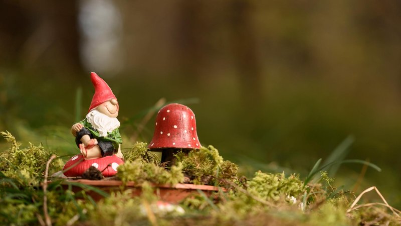 Zwerg und Pilz am Märchenweg in Wallgau, © Alpenwelt Karwendel | Philipp Gülland