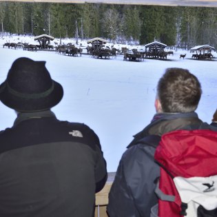 Gäste bei der Wildfütterung in Wallgau, © Alpenwelt Karwendel | Stefan Eisend 