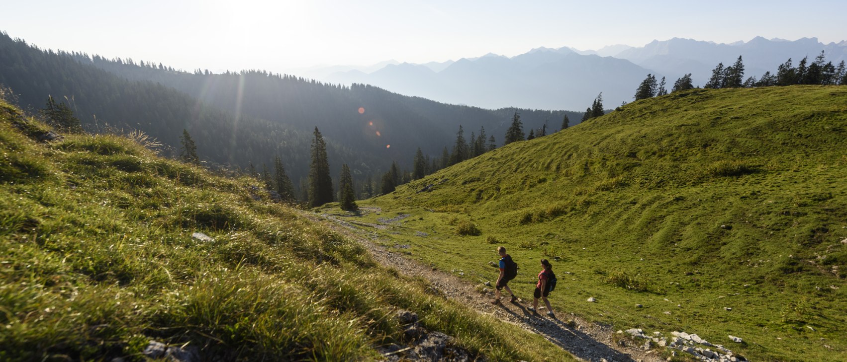 Wanderung zur Wallgauer Alm, © Alpenwelt Karwendel | Wolfgang Ehn