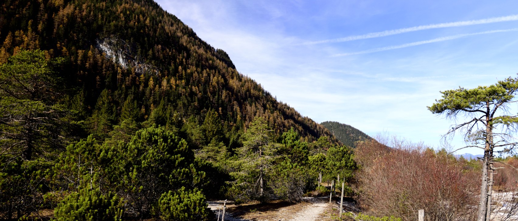 Riedboden, © Alpenwelt Karwendel | Stefan Eisend