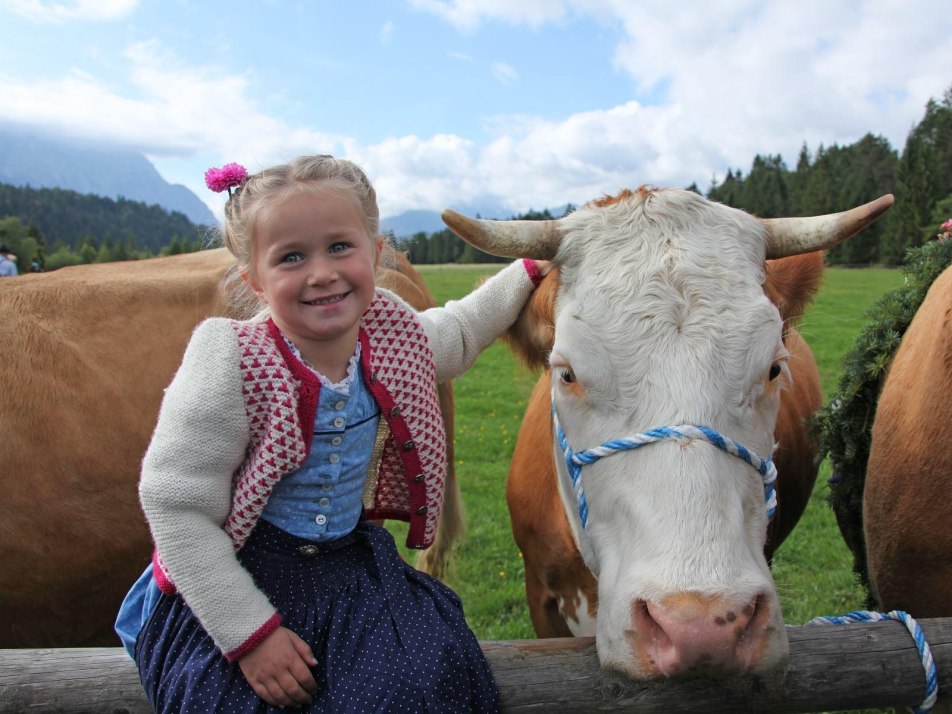 Agriculture in the Alpenwelt Karwendel