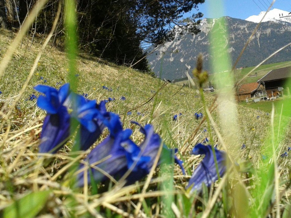 April vorm Haus April vorm Haus