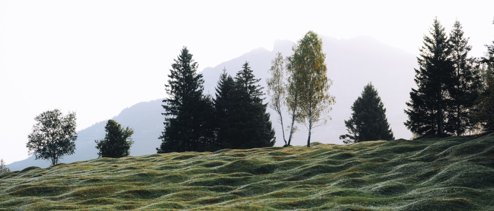 Buckelwiesen, © Alpenwelt Karwendel | André Alexander@formgestalter