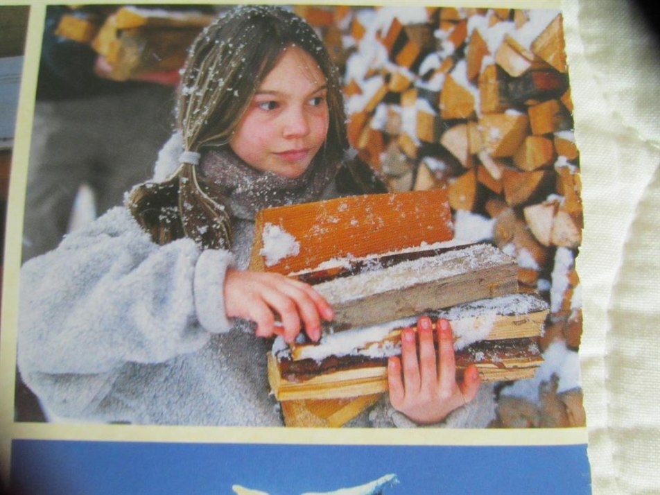 Holz holen, © Snowy wooden girl