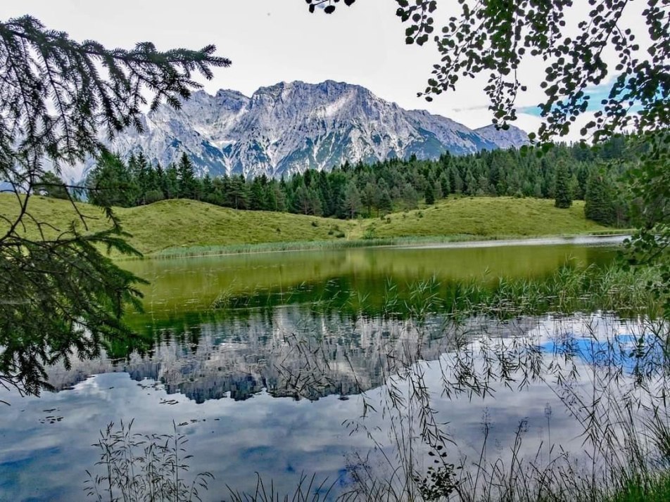 Natur