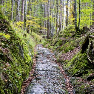 Römerweg in Klais, © Alpenwelt Karwendel | Wilfried Gans 