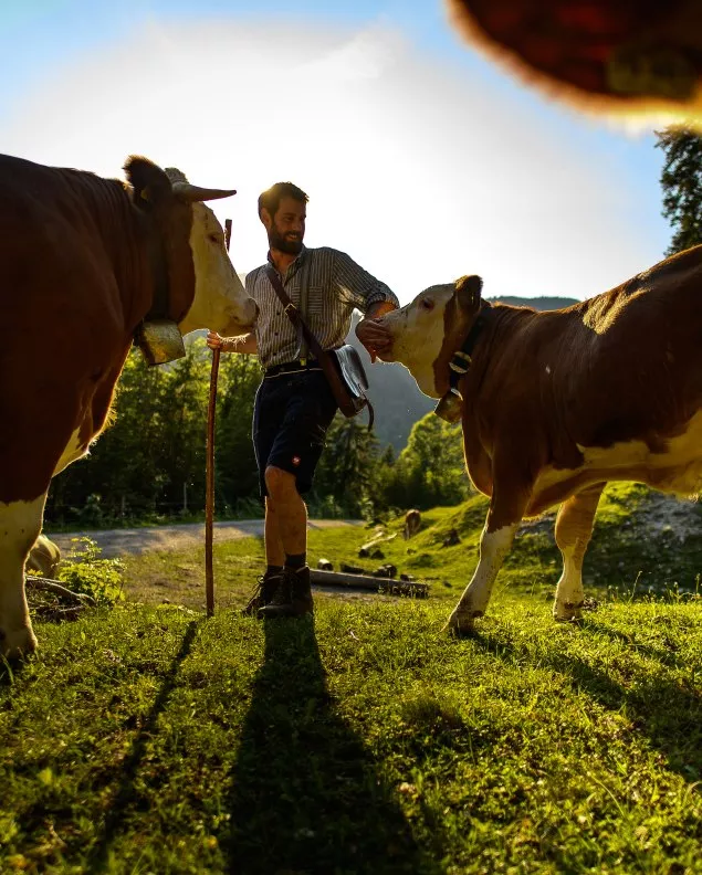 Eindrücke von den Weiden der Wallgauer Alm, © Alpenwelt Karwendel | Philipp Gülland