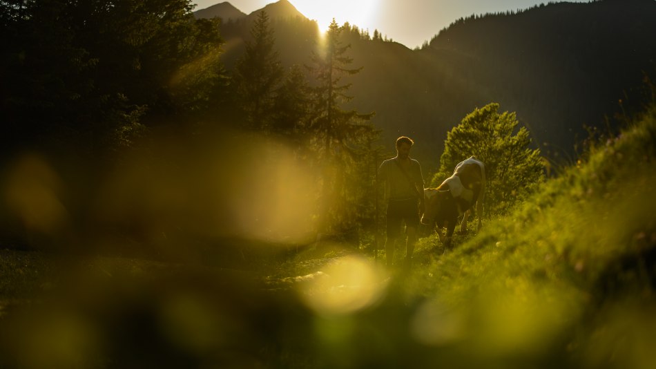 Traditionelle Landwirtschaft und Veihhaltung rund um Mittenwald, Krün und Wallgau. Wo Natur von Herzen kommt., © Alpenwelt Karwendel | Philipp Gülland