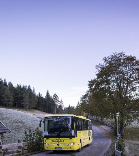 Ihr Transfer zwischen Mittenwald, Krün und Wallgau. Hier nahe der Gröblalm., © Alpenwelt Karwendel | Dietmar Denger