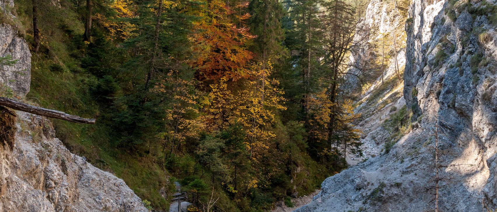 Durch die Hüttlebachklamm, © Alpenwelt Karwendel | bayern.by_Gregor Lengler Durch die Hüttlebachklamm, © Alpenwelt Karwendel | bayern.by_Gregor Lengler