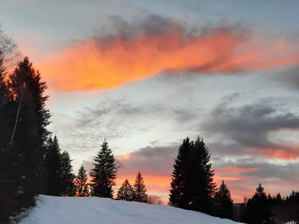 20211214_162630 20211214_162630