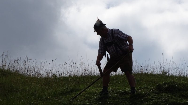 Manfred Schmidt mäht seine Buckel mit der Sense, © Alpenwelt Karwendel | Andrea Schmölzer Manfred Schmidt mäht seine Buckel mit der Sense, © Alpenwelt Karwendel | Andrea Schmölzer