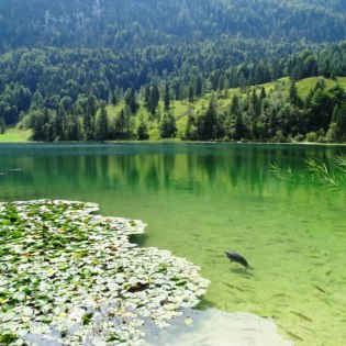 Der Ferchensee bei Mittenwald, © Alpenwelt Karwendel | Andrea Schmölzer