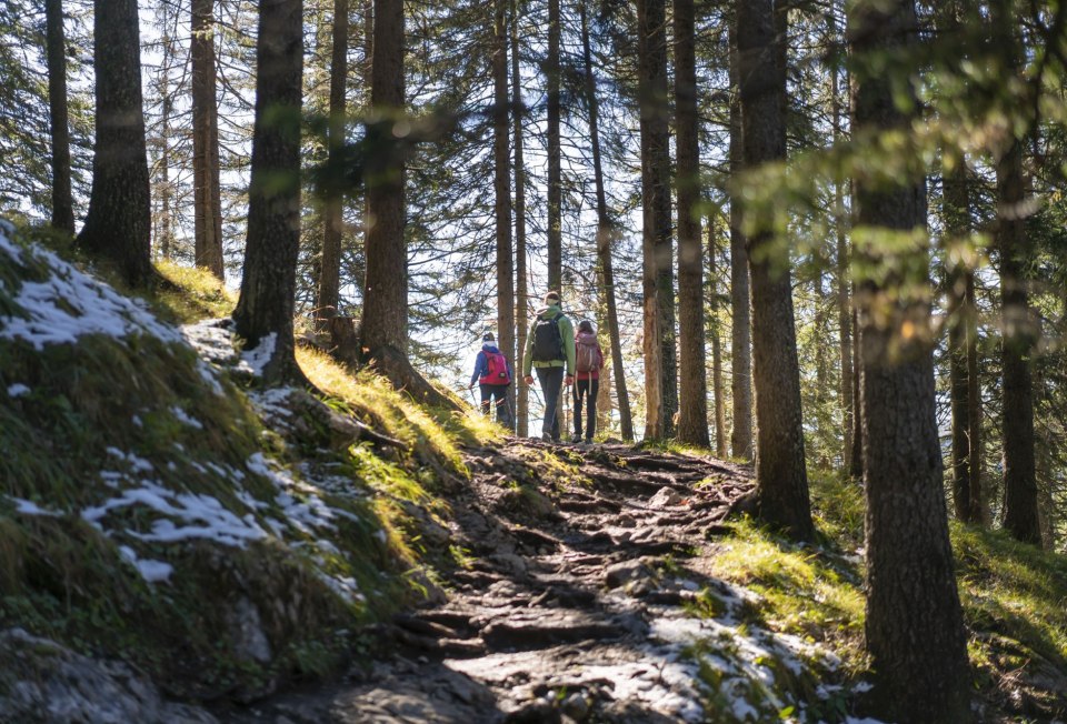 Ob Waldsteig, Gipfelgrat oder flache Wege - in der Alpenwelt Karwendel ist für jeden Naturfan was dabei!, © Alpenwelt Karwendel | Dietmar Denger