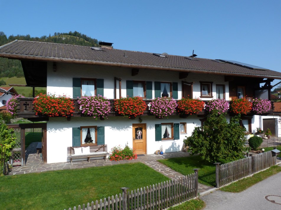Blumenpracht im Sommer