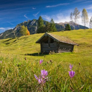 Blick über die Buckelwiesen bei Mittenwald auf Krüner Berge, © Alpenwelt Karwendel | Maximilian Ziegler