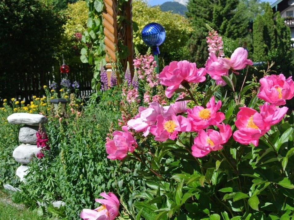 Garten Ferienwohnungen Alpenperle, © Hammerle