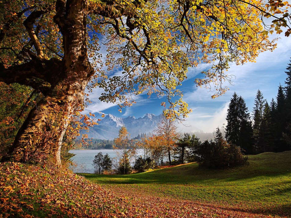 Alpenwelt_Karwendel_Rudolf_Pohmann_5687_1[1]