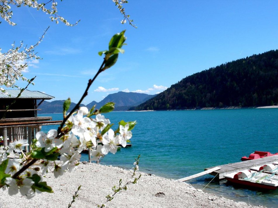 Walchensee im Frühling