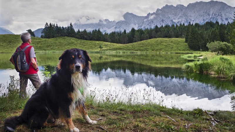 Wandertour in der Alpenwelt Karwendel - Ausblicke am Wildensee, © Andrea Obele | mein-wanderhund.de