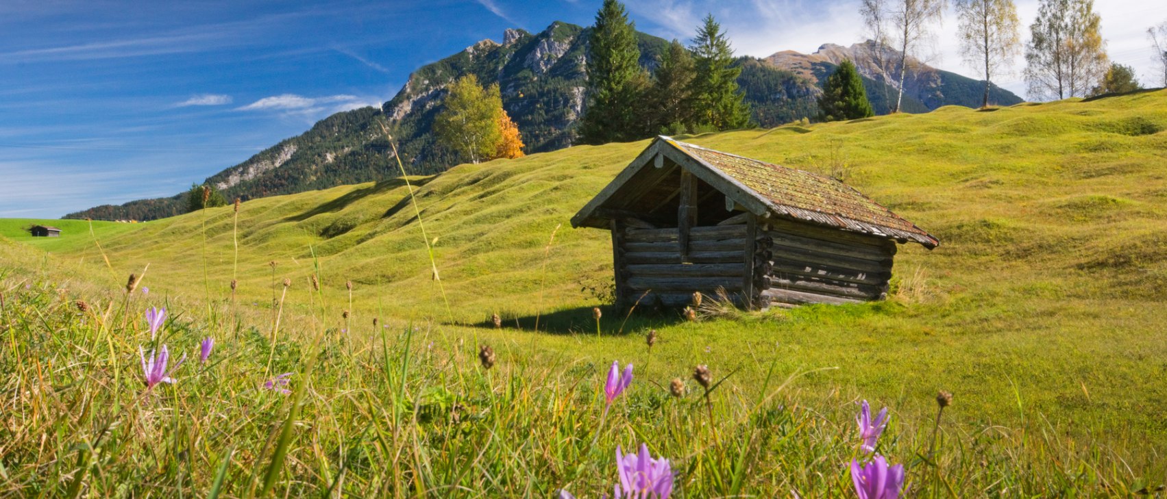 Stadl auf den Buckelwiesen, © Alpenwelt Karwendel | Maximilian Ziegler, guenter.hans@gmail.com