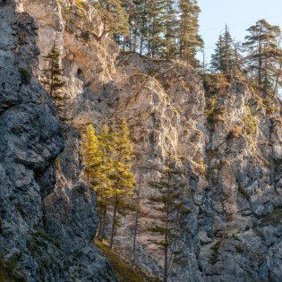 Tiefe Schluchten und schroffe Felsen - Entdecken Sie die Hüttlebachklamm!, © Alpenwelt Karwendel | bayern.by_Gregor Lengler