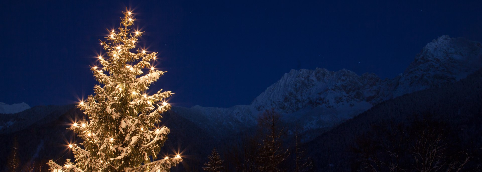Adventszeit unterm Karwendel - Christbaum im Schnee, © Alpenwelt Karwendel | Hubert Hornsteiner