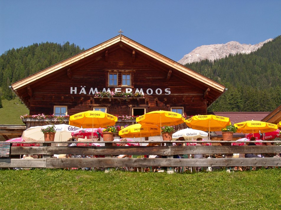 Hämmermoosalm, © Hämmermoosalm Hämmermoosalm, © Hämmermoosalm