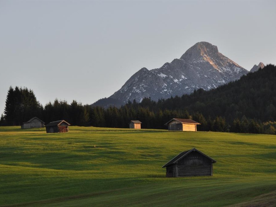 Sommerwiesen