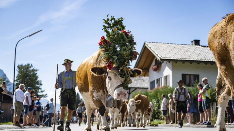 Almabtrieb mit Dorffest und Bauernmarkt in Krün, © Alpenwelt Karwendel / Pierre Johne Almabtrieb mit Dorffest und Bauernmarkt in Krün, © Alpenwelt Karwendel / Pierre Johne