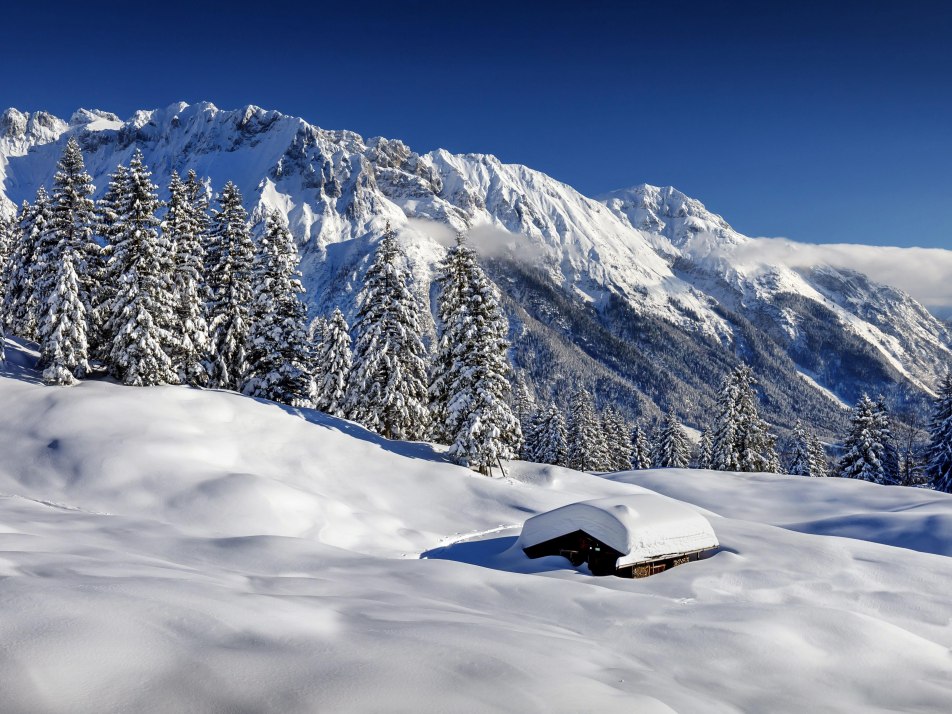 Buckelwiesen unter dem Schnee am Kranzberg